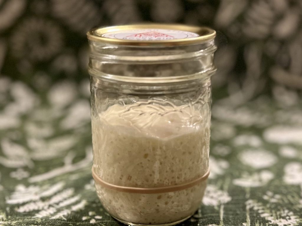sourdough starter near Blacksburg, Virginia