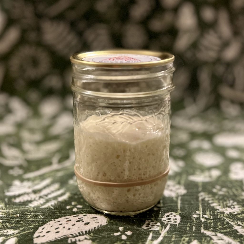 sourdough starter near Blacksburg, Virginia